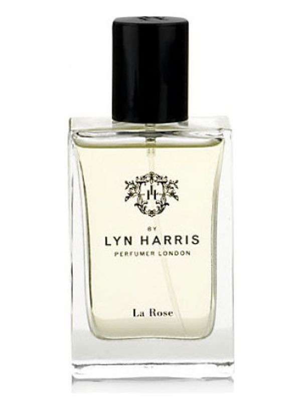 Marks and Spencer Lyn Harris La Rose