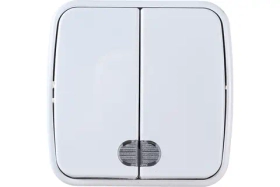 Двухклавишный выключатель STEKKER открытой установки 250В 10А с подсветкой Basic PSW10-32-20 39030