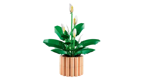 Конструктор LEGO Botanical Collection 11504 Peace Lily