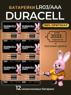 Duracell батарейки AAA, 12 шт.
