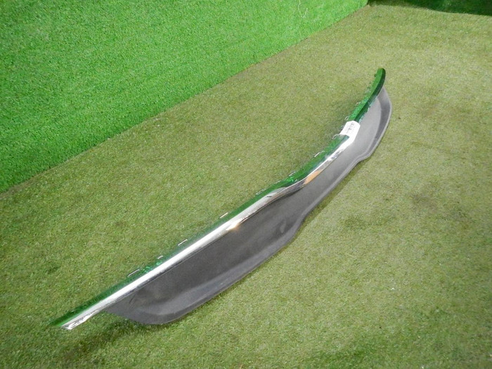 DSCN4237.JPG