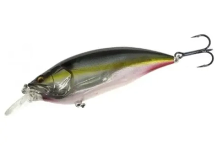 Воблер Megabass BIG-M 4.0 JUKUCHO SHAD #6