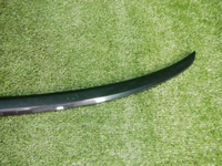 DSCN6979.jpg