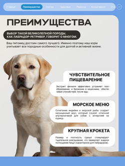 Корм для взрослых собак породы Лабрадор-ретривер, с лососем, 3 кг, QUATTRO