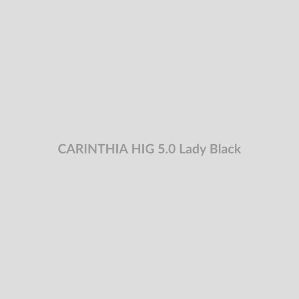 Штаны CARINTHIA ECIG 5.0 - Oliv