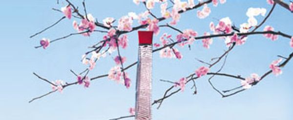 Annayake Hanami