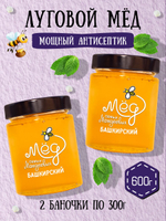 Мёд натуральный луговой набор (2 банки по 300 г), 600 г