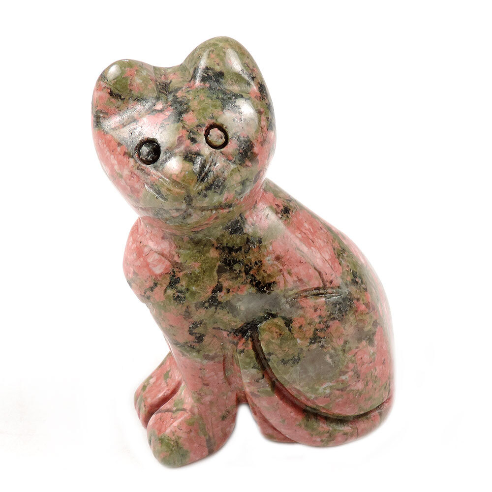 Кошка унакит асс.