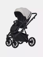 Коляска MONTANA ECCO (2 в 1) (RIKO BASIC)