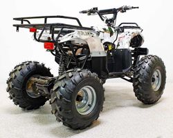 Квадроцикл GreenCamel Атакама T220 (48V 1000W R8 Дифференциал) пониженная электро