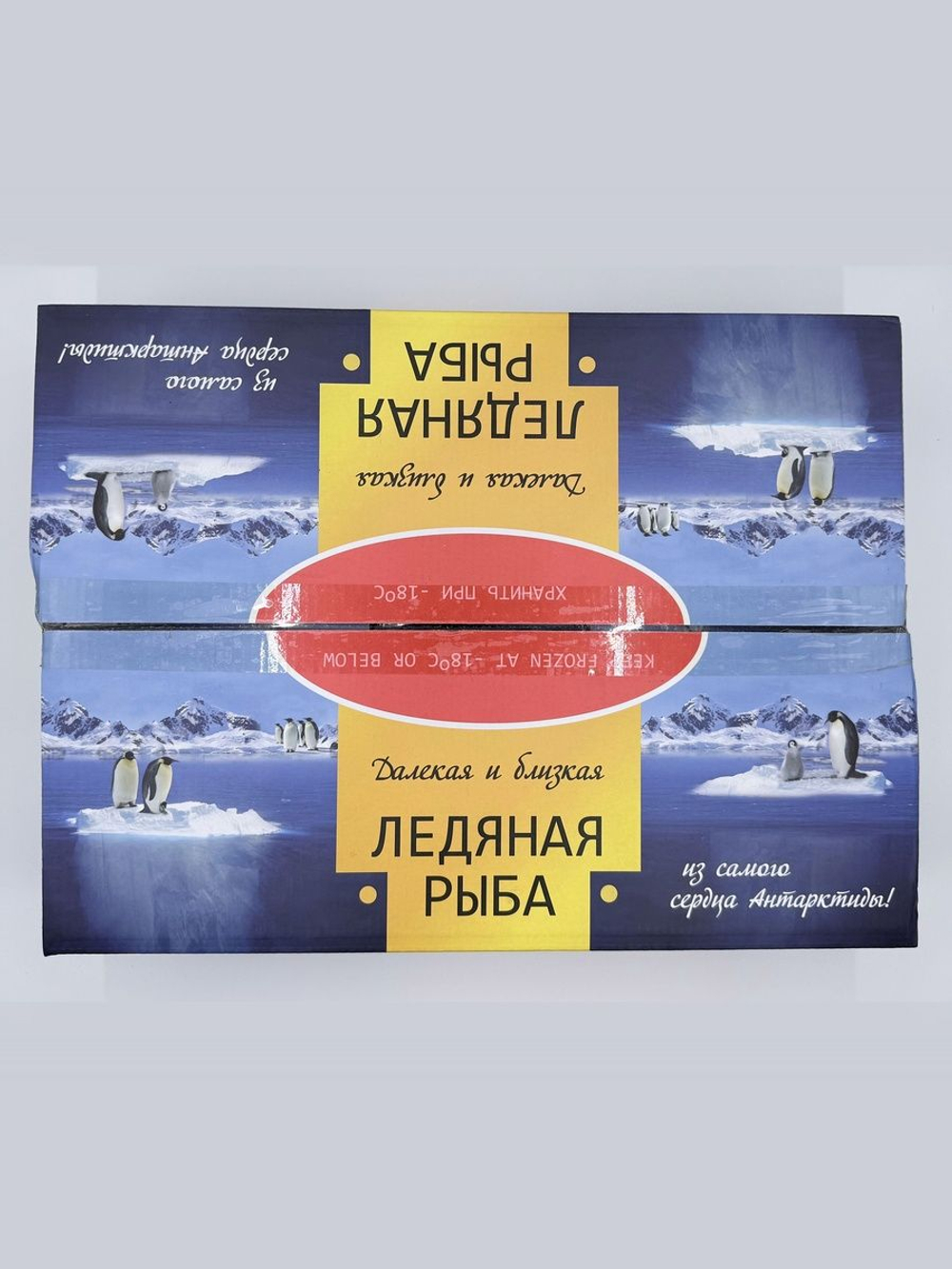 Ледяная рыба 1кг фасованная свежемороженая