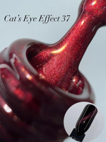 FOR YOU Гель-лак Cat's eye Effect № 037