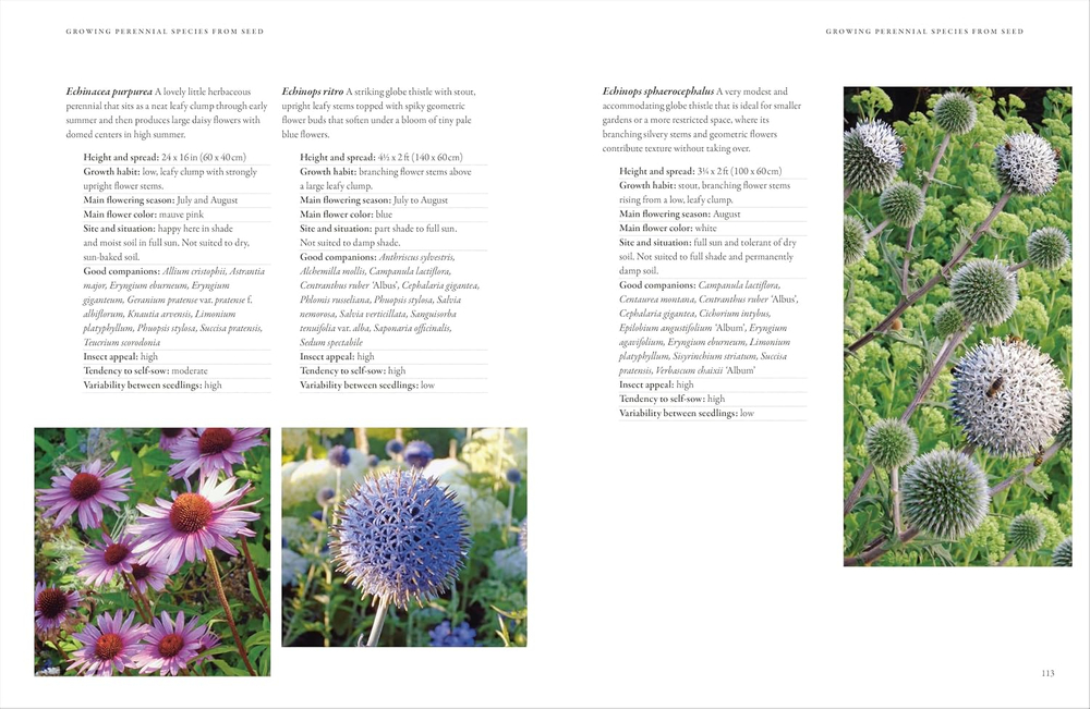 In Nature's Slipstream: How to Turn Your Garden into a Haven for Nature