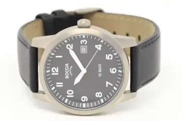 Мужские часы Boccia Titanium 3631-01