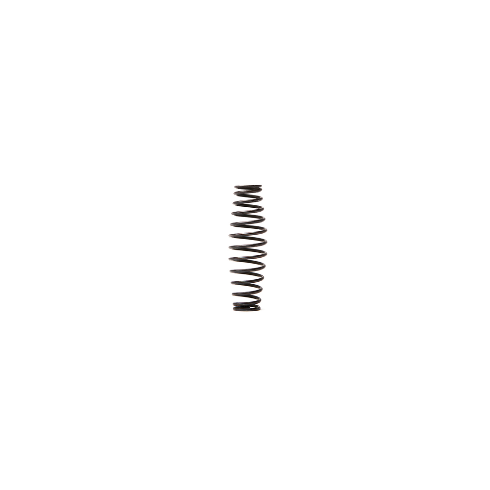 Пружина RT-5567(Inlet Spring) поз.30