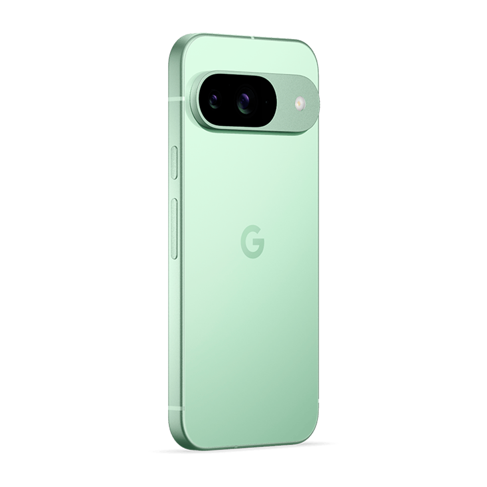 Смартфон Google Pixel 9 12/128GB, Wintergreen (Зимнезелёный) (Японская версия)