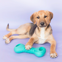 Гантель ZippyTuff Squeakerz 25 cм ZippyPaws