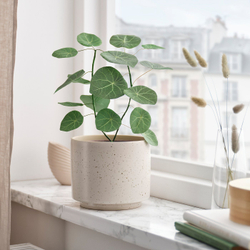 IKEA SMÅTÄRNA  (ИКЕА СМОТЭРНА)  -  Искусственное растение в горшке - бумага/Стефания 12 см