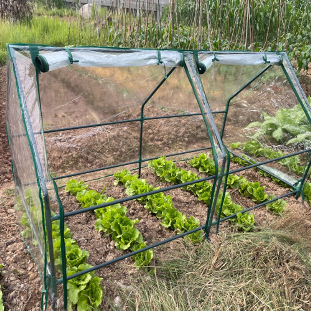 Теплица GREEN APPLE GA-House-2х-frame 1800х900х900 мм 2 отсека | Теплица