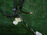DSCN9557.JPG