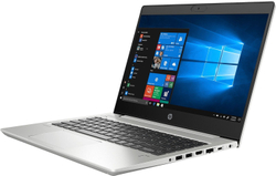 Ноутбук HP ProBook 445 G7 1F3K8EA Ryzen 3 4300U/8GB/256GB SSD/14; FHD AG/WiFi/BT/Win10Pro/pike silver