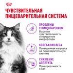 Royal Canin Sensible 33 Сенсибл Корм сухой для взрослых кошек с чувствительным пищеварением в возрасте старше 1 года 200г