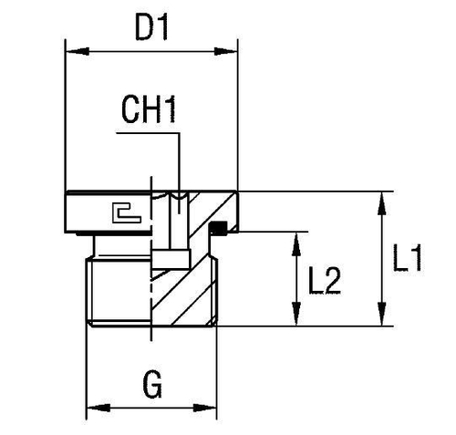 Заглушка VE (Ш) BSP 1.1/2