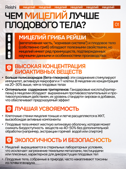 Рейши Линчжи 120 капсул