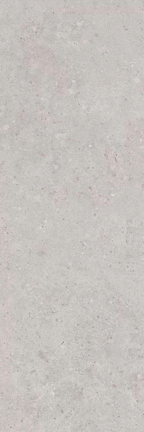 Керамическая плитка KERAMA MARAZZI РИККАРДИ серый светлый матовый обрезной 40x120 (10 мм.) 14053R