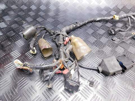 Коса электропроводки Honda Shadow 750 RC50 051081