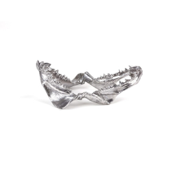 Статуэтка Wunderkammer Shark Jaw