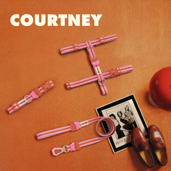 Ошейник COURTNEY VELVET VIBES Zee.Dog