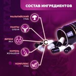 Мужской возбудитель "Отважный полководец", 10 капс.