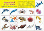 Плакат демонстрационный супер А2 "Мир морей и океанов" (Сфера)