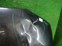 DSCN5594.jpg