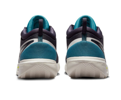 Мужские кроссовки теннисные Nike Zoom Court Pro Clay - Фиолетовый