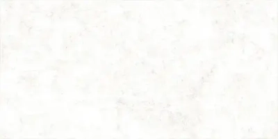 Настенная плитка ALMA Ceramica TWU09TVS014 Trevis 50x24.9 белая матовая под камень