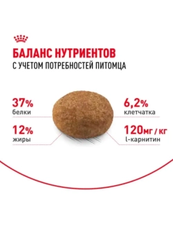Sterilised 37 Корм для кошек 400г