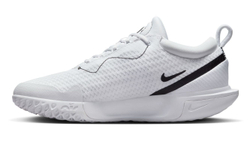 Meskie buty tenisowe Nike Zoom Court Pro HC