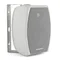 CVGAUDIO ODF408TW настенная акустическая система