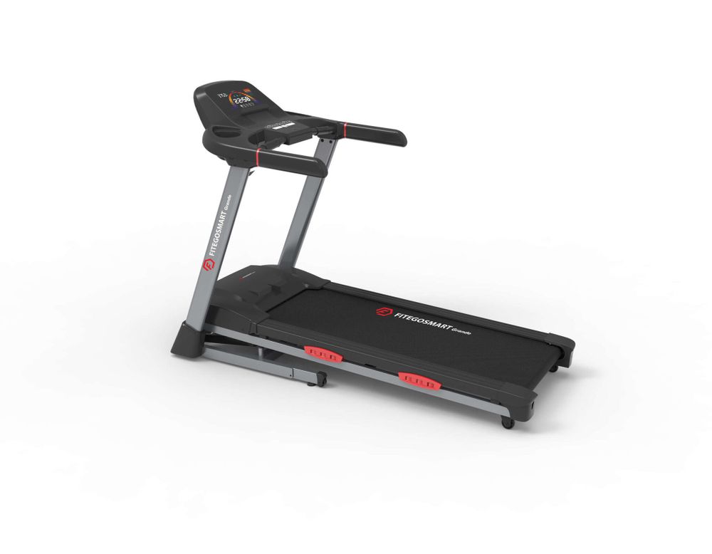 Беговая дорожка FITEGOSMART Grande