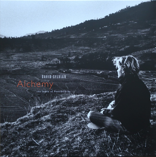 David Sylvian - Alchemy An Index Of Possibilities - Corona Gold In Opaque Red LP