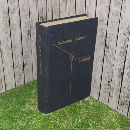 Книга "Босой"