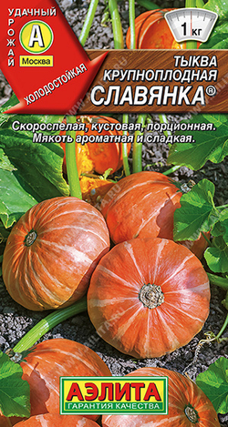 Тыква Славянка 1г крупноплодная Ц Аэлита