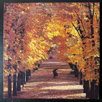 Сборник Home music best collection 2LP (Япония) Т