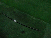 DSCN9749.JPG
