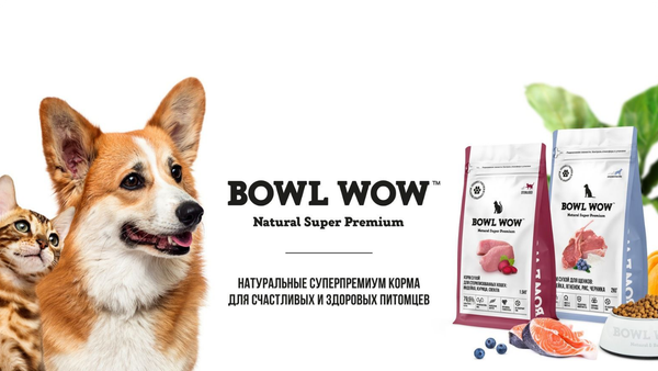 О Bowl wow О Bowl wow