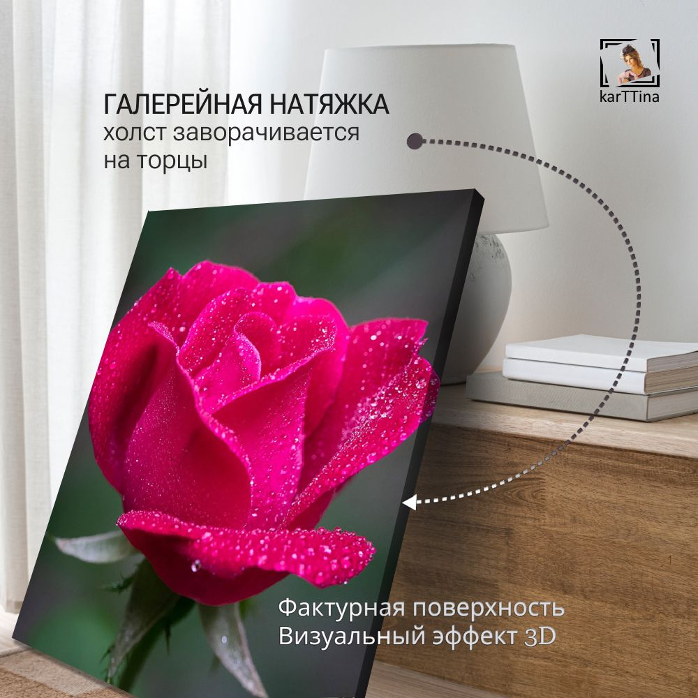Картина интерьерная karTTina "Роза в росе", 50х70см 1шт.