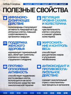 Мейтаке (майтаке) Грифола курчавая. 120 капсул