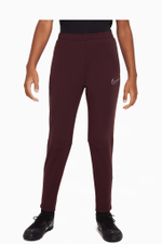 Штаны Nike Therma-Fit Academy Winter Warrior Junior